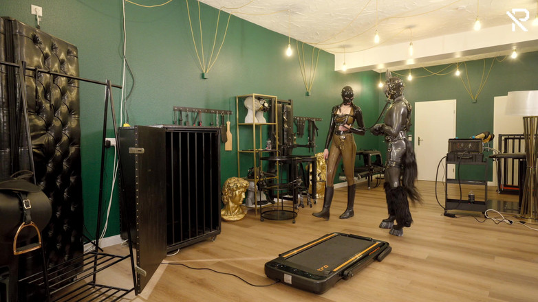 Rubber pervs: Pony Bermain Getah: Bridle Up dan Latihan Pada Treadmill