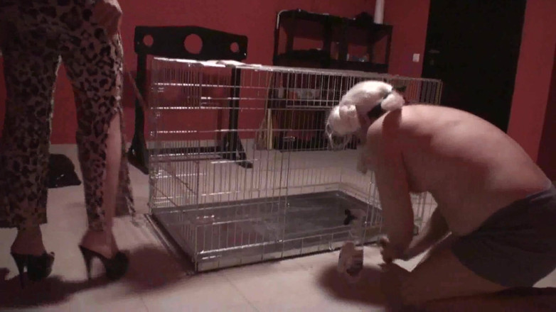 Femdom Austria: She makes her pet clean his cage
