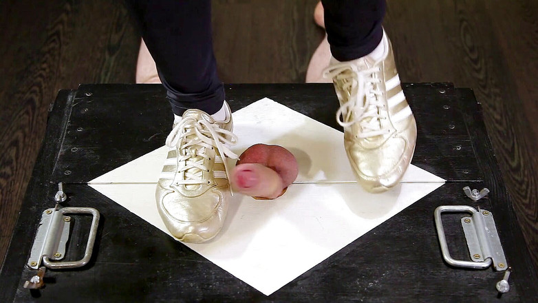 House of Era: Sport sneakers i aktion CBT och ballbusting