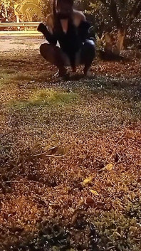 Pequeño conejo en el jardín