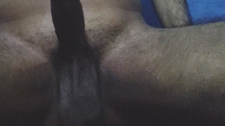 Robbie Dog: Indian Desi Guy Cock for Valentine Day Special