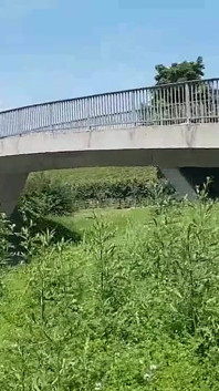 Arriesgado Follar Al Aire Libre Junto a La Autopista