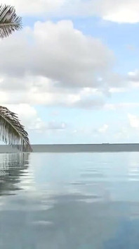 Tied in the Tropics