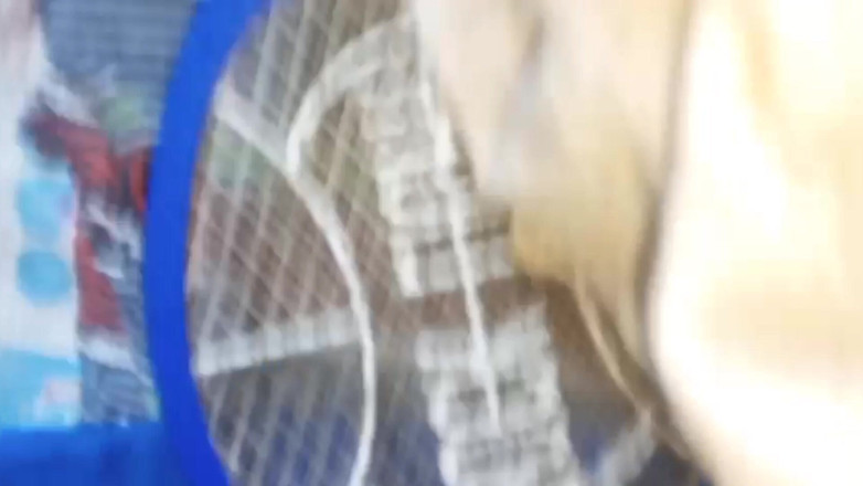 YangZi 69: Oh No My Brother Tore My Pussy, His Cock Went...