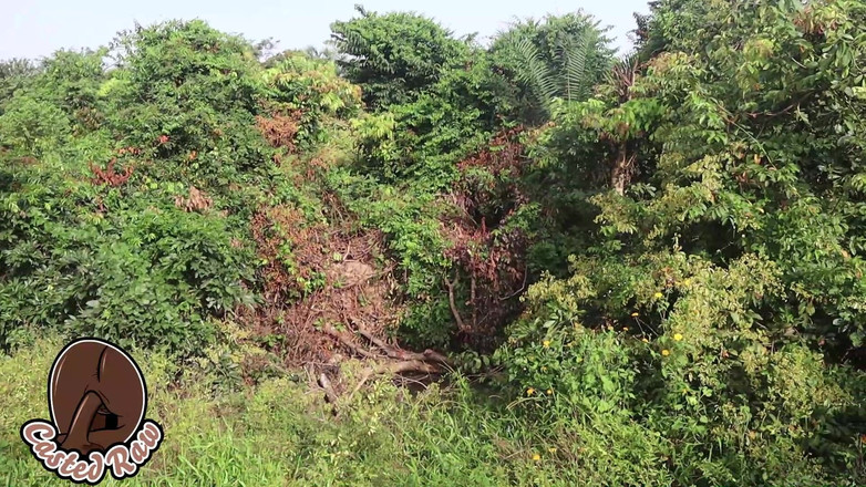 Castedraw: Bts Adigun et la femme paysanne