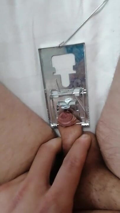 Adashah: Small penis and mouse trap. Cbt BDSM solo