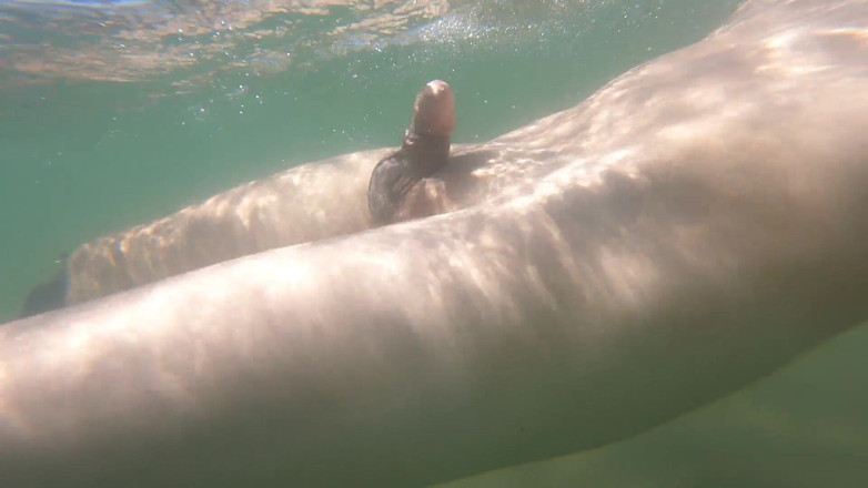 Cool Body: Sborro solo per il piacere di sentirmi libero, nuda in...