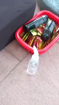 Pesta bukkake di luar ruangan sama gadis remaja seksi adreena winters dan mira cuckold