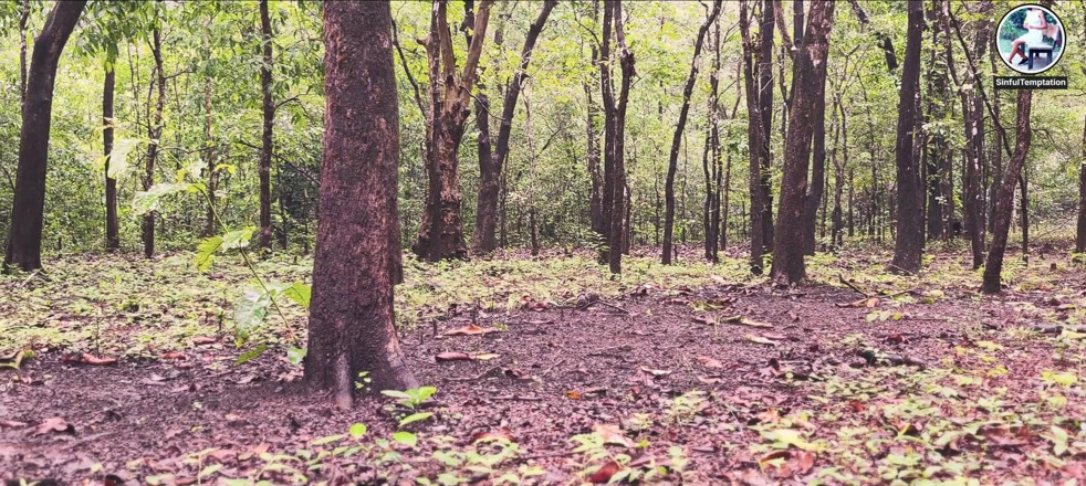 Ziya: Jungle Bogel, melancap, pancutan mani