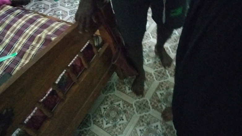 Tamil lesbian: Ngobrol santai setelah berhubungan seks