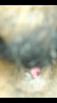 Desi Couple Close up Pussy Licking