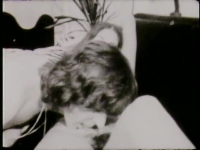 Vintage Usa: Nasty vintage fuck with hairy brunette