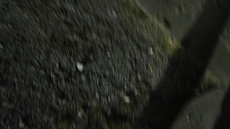 Toilet Mommy: आउटडोर एक्सपोजर लड़की लड़के की गांड चाटती है