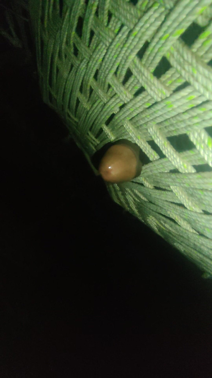 DESIfUCKER001: Masturbation befriedigung