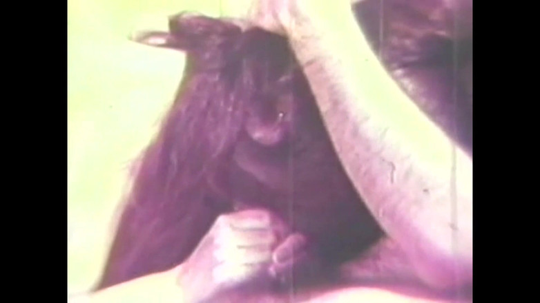 Vintage Megastore Full hd: 猪吃我的阴道