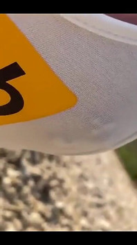 Möpse und gepiercte nippel spielen am strand