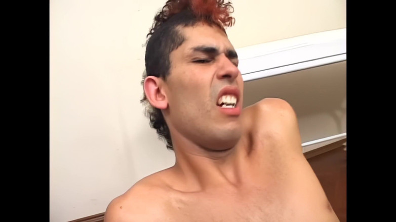 The Transexuals Megastore: 그 자식은 트랜스젠더에게 미쳐버린다.