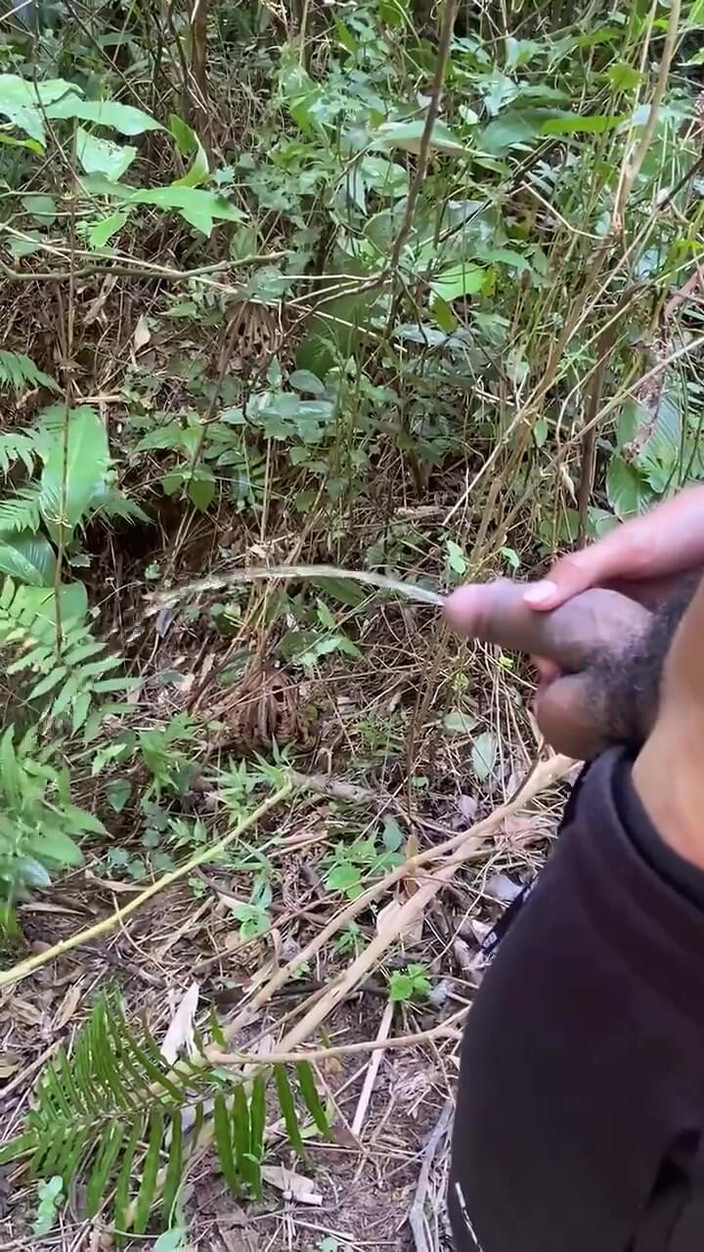 Vida Noite: Naštvaný vášní Chčije na traily