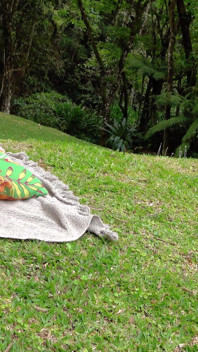 Wifebucket Amateurs - Natureza a fez levantar seu vestido e brincar com sua buceta