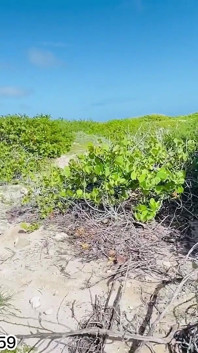 Fucking a Slut Outdoor Fuck, Beach Fuck, Outdoors Sex