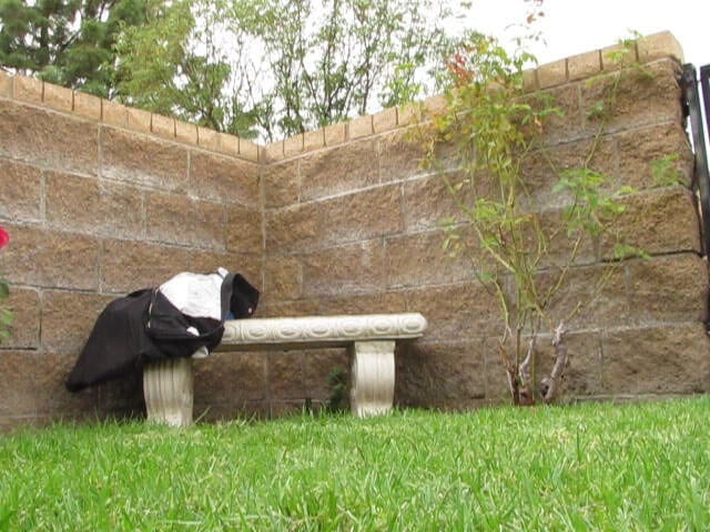 The porky pervert: आउटडोर पार्क झटका 3