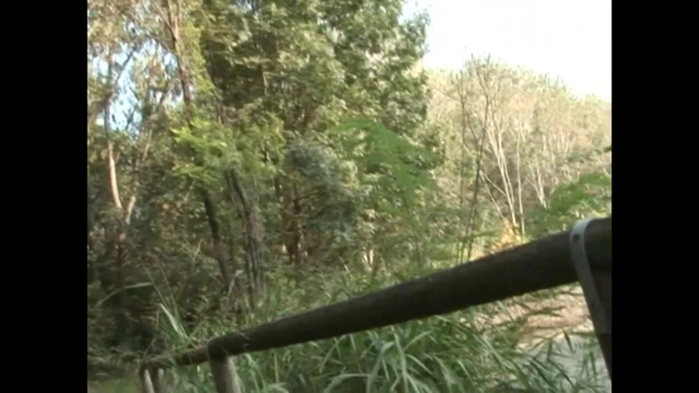 Xtime Network: Амано Эсибирси - Эпизод 1