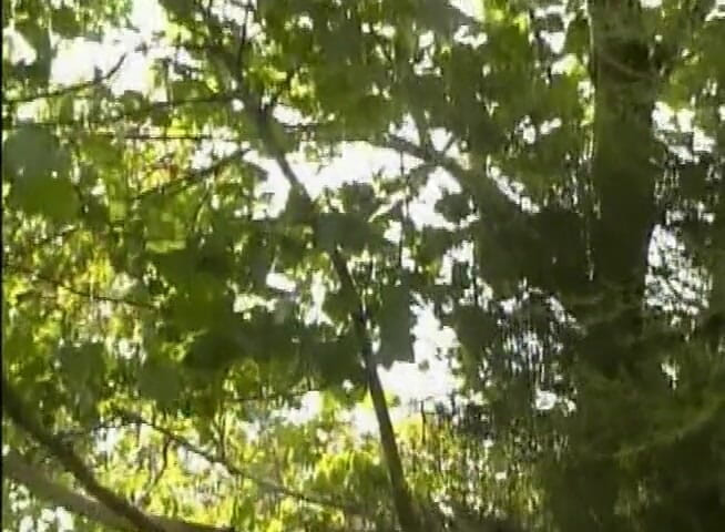Analiscius: Dunkelhaarige milf mit dicken möpsen wird im freien der arsch...