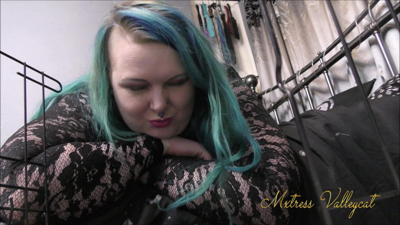 Mxtress Valleycat: Becoming my lap pet