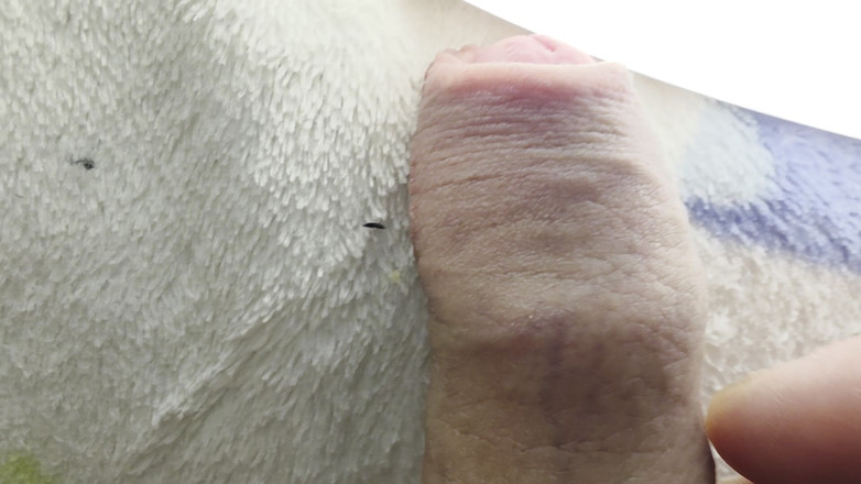 Nalekhome: Mój kutas na makro