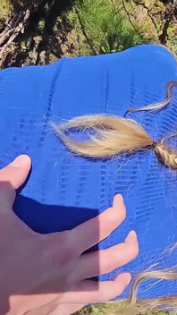 Cewek nakal rambut pirang ini dientot habis-habisan di hutan!