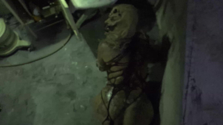 Horror porn: Horror Porn 17: Female Spider