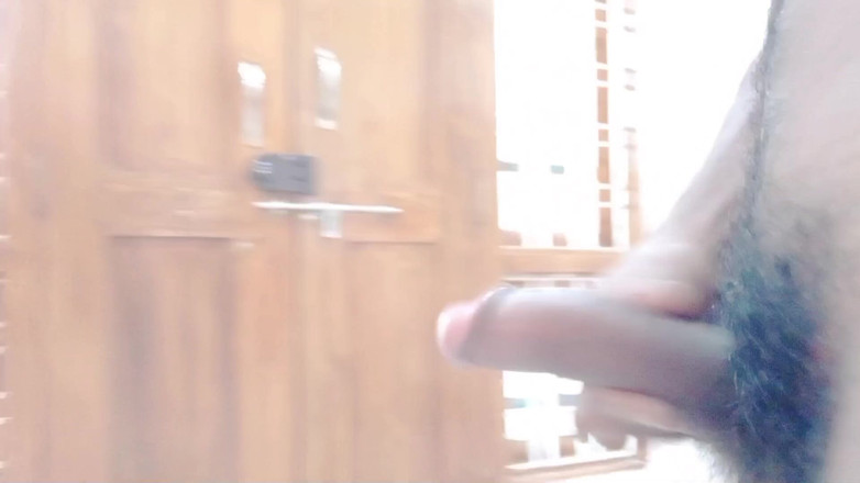 Rajesh Playboy 993: Nahý domov