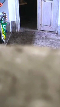 Sex desi în birou, făcut în secret video de mine și sa bucurat