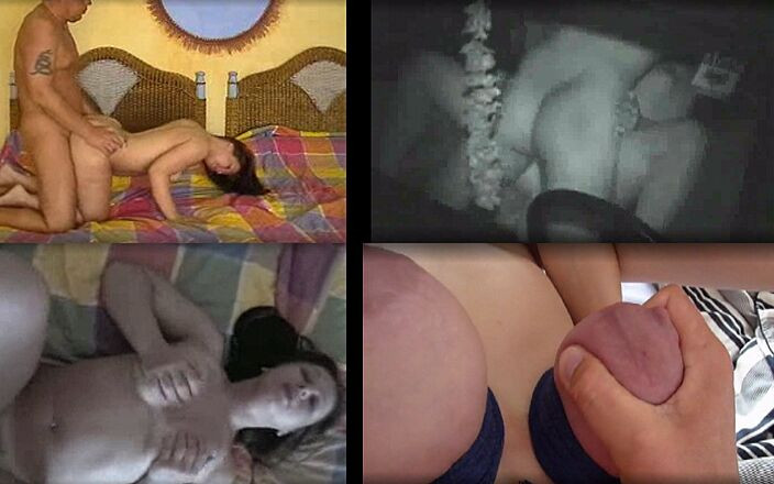 Lydia Privat: Armăsari