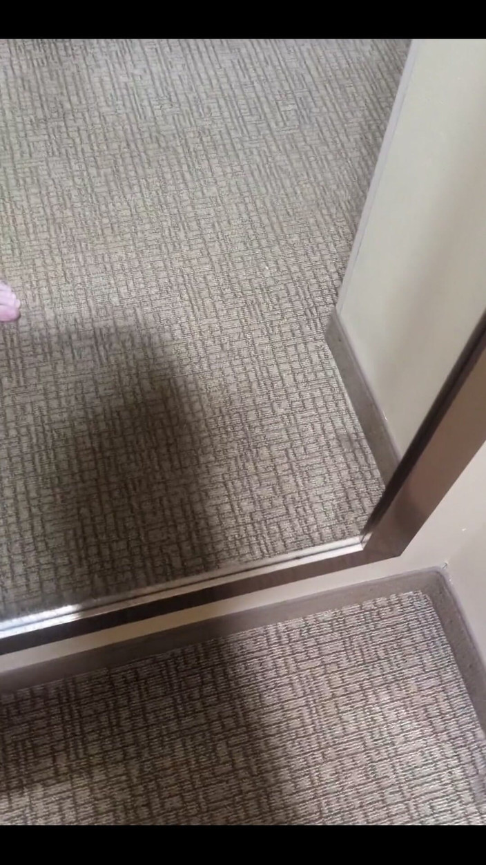 ElementX1018: Kontol nggak bakal memujimu untuk nyepong kontolmu!