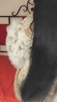 Fur Fetish and Smoking Fetish, Slow Motion