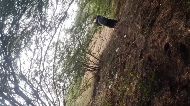 Desi village sex: 阿姨户外乡村性爱