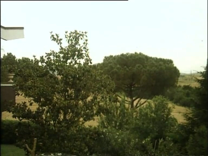 Vintage megastore: Dbl 029 - Marina The Hot Nymphomaniac