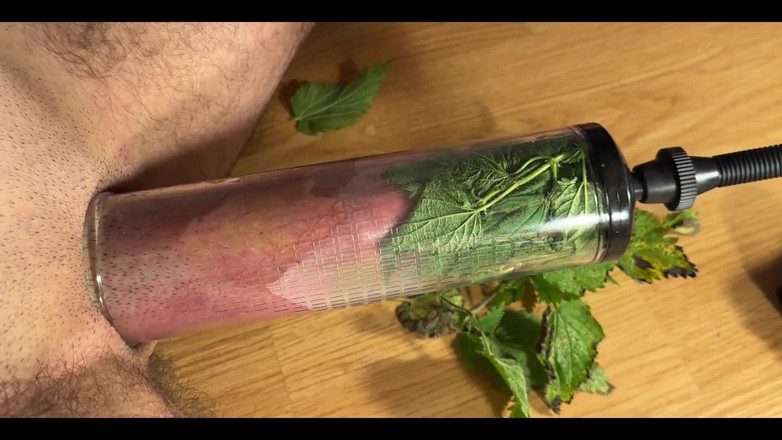 cbtLove: CBT 刺荨麻泵暨