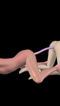 Animated 3D Porn - Beautiful Girl Strap on Fucks Asian Man Then Double Dildo Doggy
