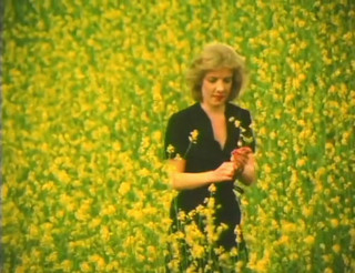 Bisco Birchwood Productions: Französisches zimmermädchen: US-klassiker!