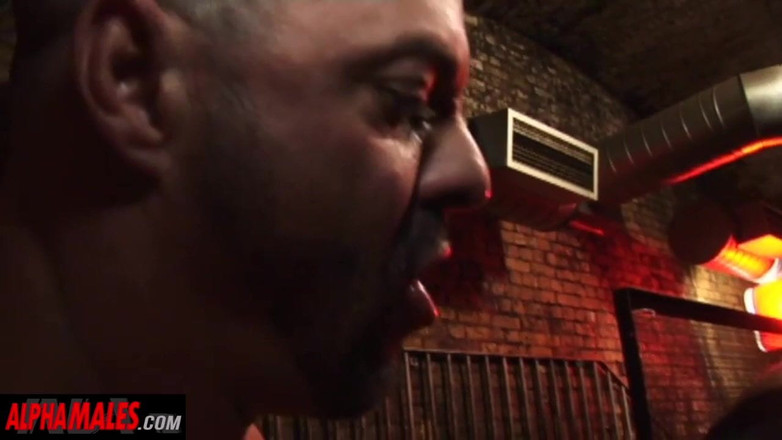 AlphaMales: Alphamales - jantan kuat