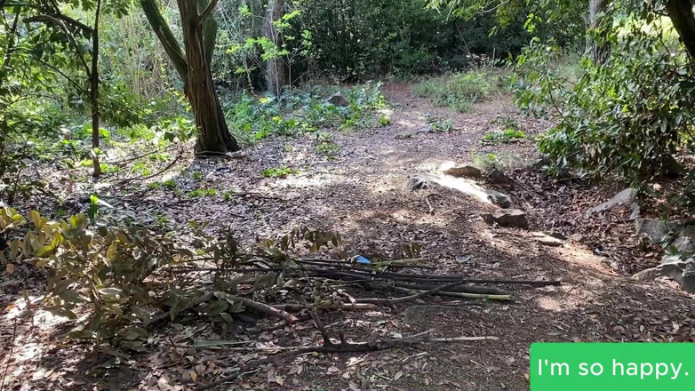 Juan Lucho: Argentinian Blonde Sucks Cock in the Forest