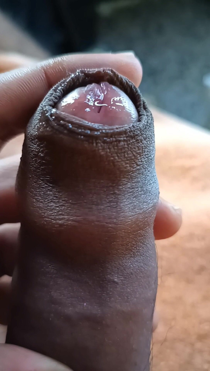 Tommhot: Collezione di Presbord e Sperma