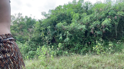 SinglePlayerBKK: Tarzan нашел яйцо Тэнги.