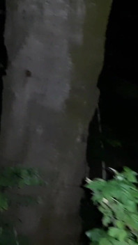 I Caught My Neighbor Masturbating in the Toilet on the Street and I Joined Her - Lesbian-illusion