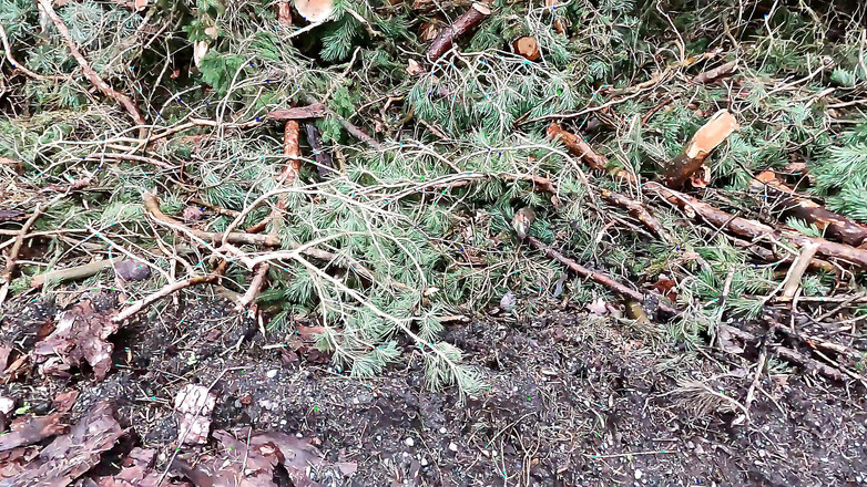 Bouncy Tits Action: Rote titten im freien