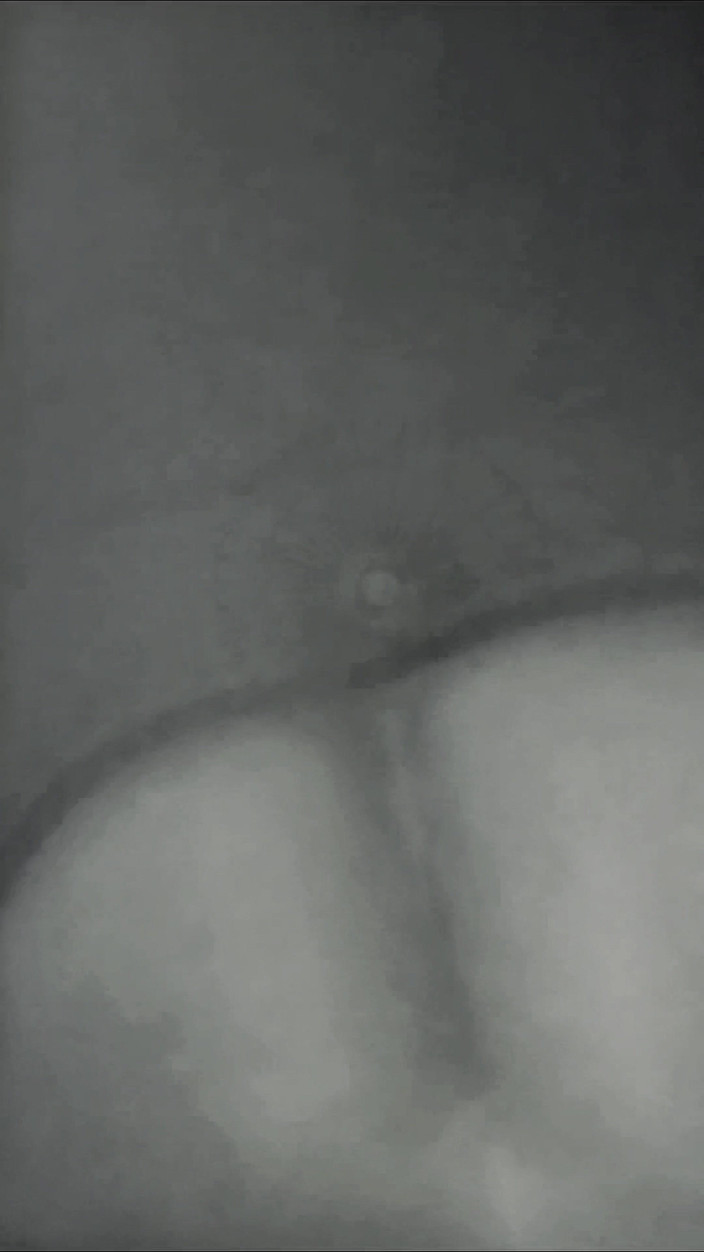 Lily & Theo: Nejchutnější sténání je od vdaných přátel