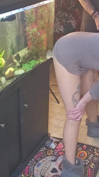 두 친구가 딜도에 사정하는 동안 핫한 마누라 딜도 섹스