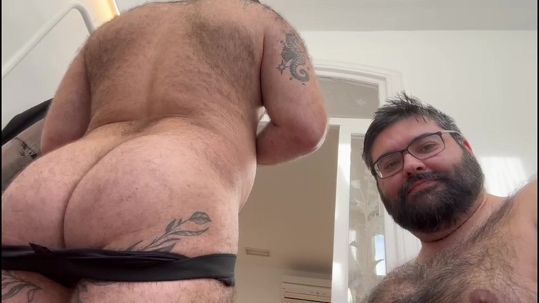 ScruffyStocky: Orsi divertenti tarchi